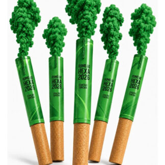 Fumaça Colorida Bastão 20mm Kit 5 Unidades Para Jogo De Fute Verde